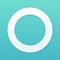 Enso Icon